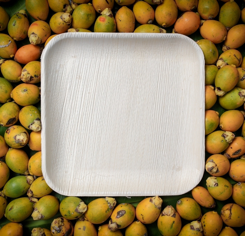 Square Plates